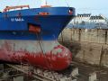 Bulbe ST Sara - 26 octobre 2011.JPG